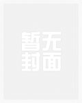 荡寇记小说简介
